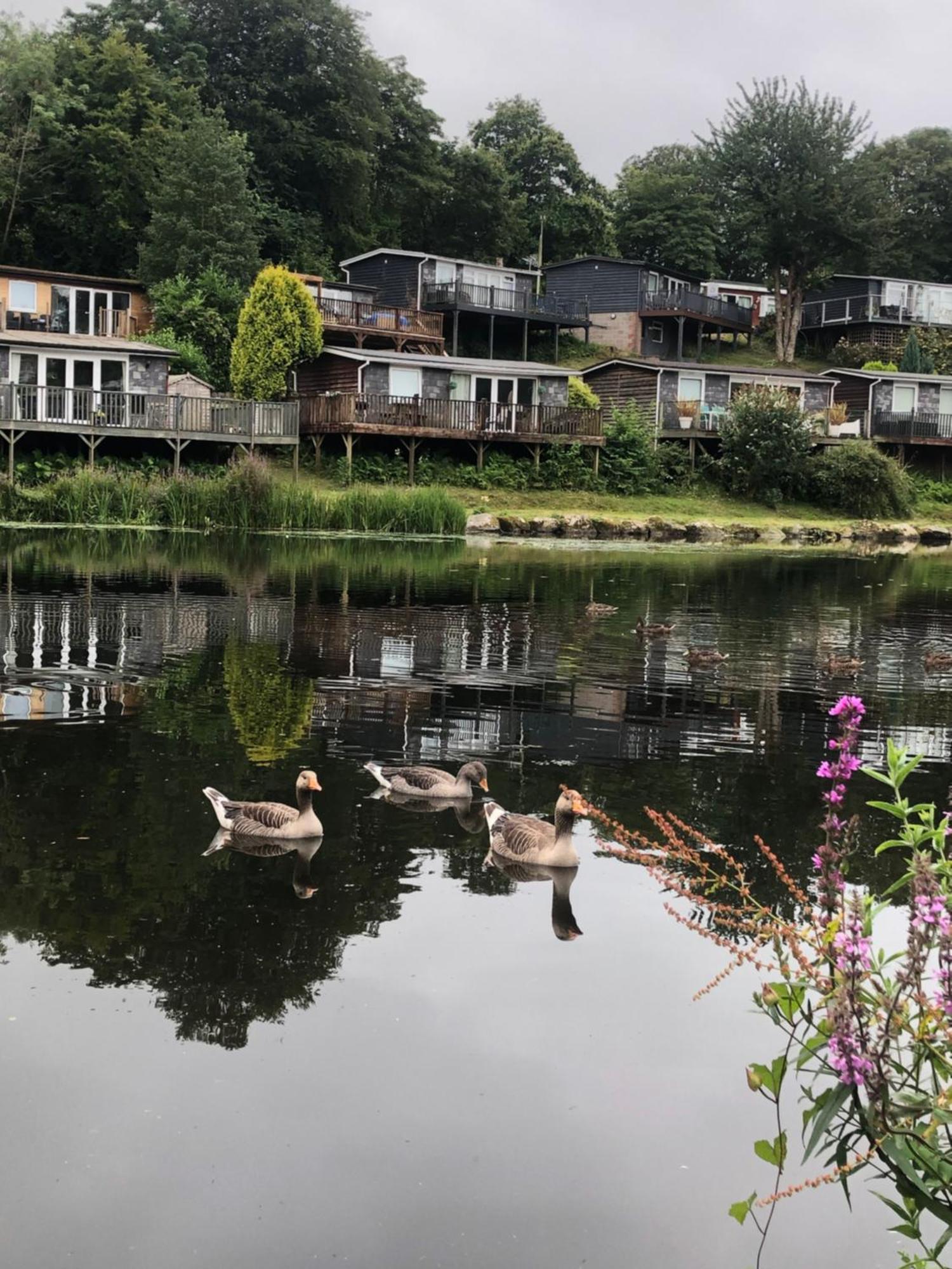 Chalet 64, Lakeside, Glan Gwna Holiday Park Caernarfon Kültér fotó
